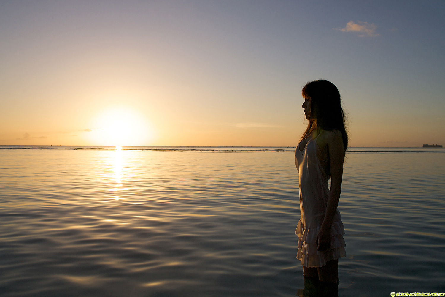 NO.916 松中みなみ Minami Matsumaka  DGC套图